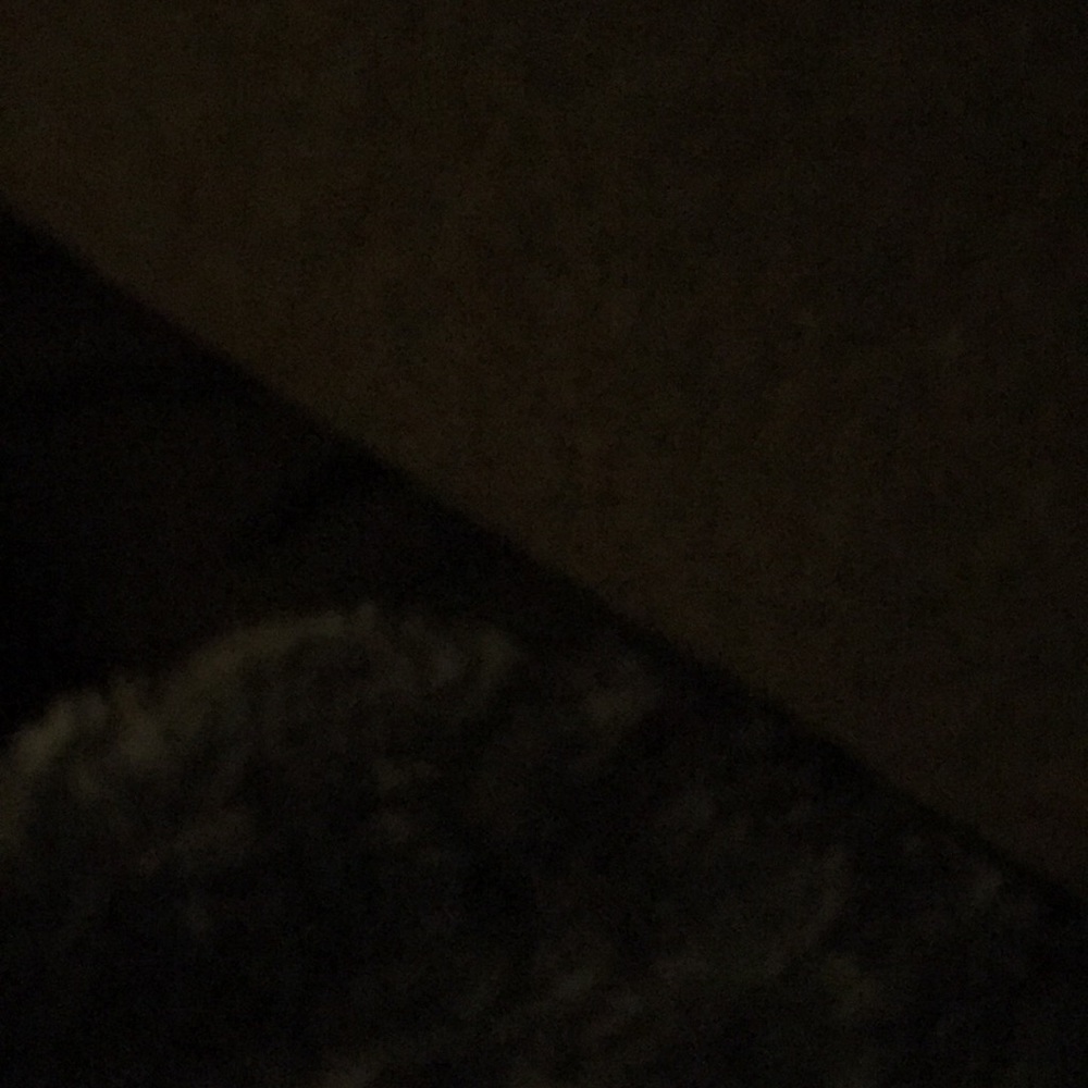 Meet your Posher, Mackenzie